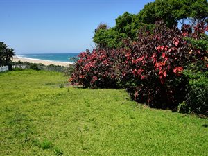 2134 m² Land available in Hibberdene