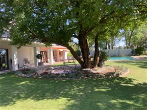 39 ha Farm in Bloemfontein Farms