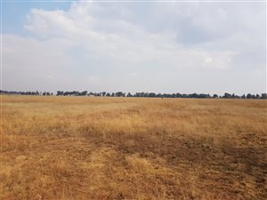 8.1 ha Land available in De Deur