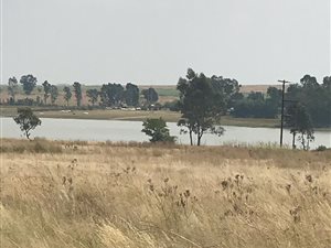 12 ha Land available in Vaalview