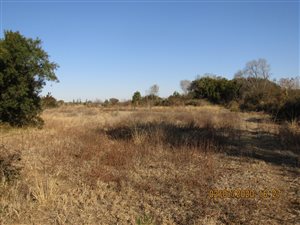 5 ha Farm in Groot Marico