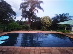 16 ha Farm in White River