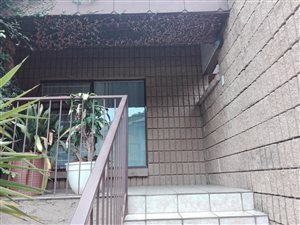 1 Bed Apartment in Windsor East