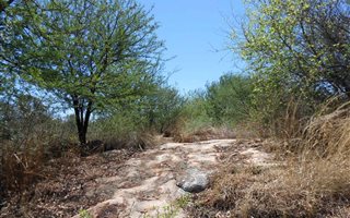 743 m² Land available in Parys Golf Estate