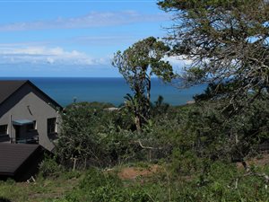 851 m² Land available in Cintsa