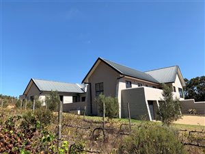 4 ha Farm in Stellenbosch Agricultural