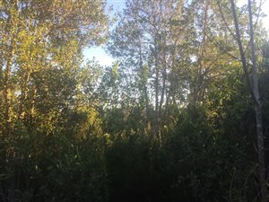 1200 m² Land available in The Crags