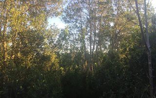 1200 m² Land available in The Crags