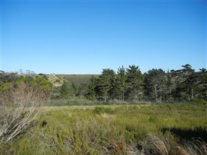 1493 m² Land available in Brackenridge