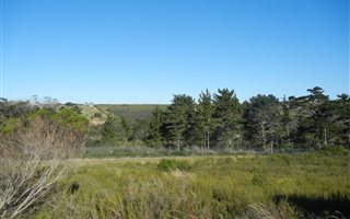 1493 m² Land available in Brackenridge