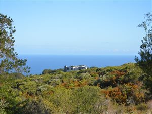 4315 m² Land available in Pezula Private Estate