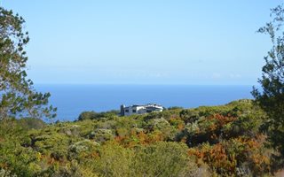 4315 m² Land available in Pezula Private Estate
