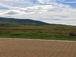 1375 m² Land available in Newcastle Central