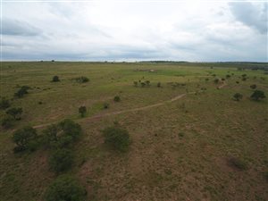 363 ha Farm in Middelburg