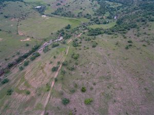 363 ha Farm in Middelburg