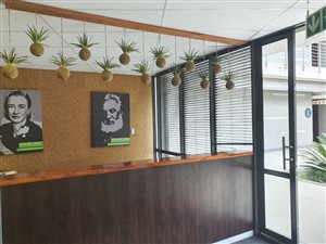 14043 m² Office Space in Southdowns Estate