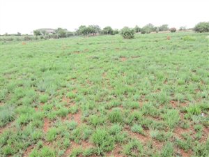 1.2 ha Land available in Grootfontein Estate