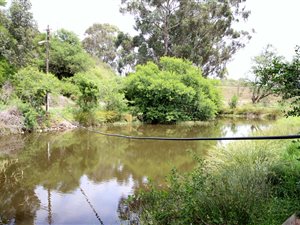 1.3 ha Land available in Heidelberg