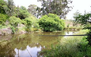 1.3 ha Land available in Heidelberg