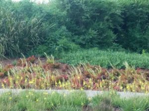 1282 m² Land available in Tijger Valley and surrounds