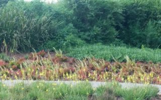 1282 m² Land available in Tijger Valley and surrounds