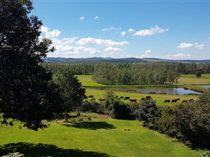 20.4 ha Farm in Dargle
