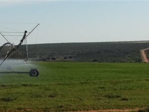 1784 ha Farm in Lamberts Bay