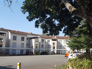 2 Bed Apartment in Shelly Beach