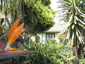 5 Bed House in Port Edward