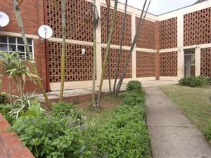 1.5 Bed Apartment in Montclair