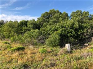 123 m² Land available in Paradise Beach
