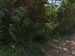 1427 m² Land available in Palm Beach