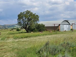 216.7 ha Farm in Sterkfontein and surrounds