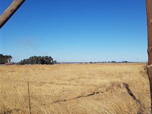 8.5 ha Land available in Vlakplaats
