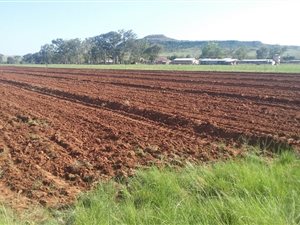 813 ha Farm in Aliwal North