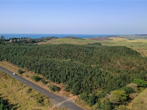 926 m² Land available in Blythedale Beach
