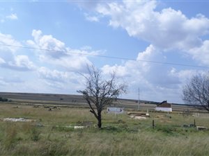 23 ha Farm in Bronkhorstspruit