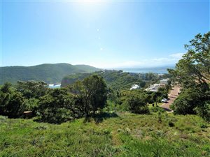 1015 m² Land available in The Heads