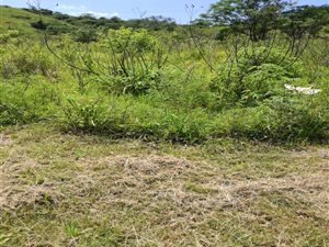 20 ha Farm in Craigieburn