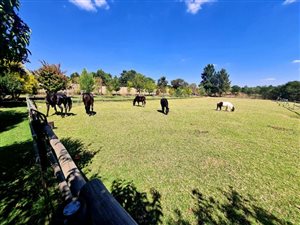 1.3 ha Farm in Austin View