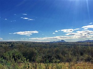 300 m² Land available in Gondwana Game Reserve