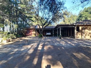 2 ha Farm in Morningstar