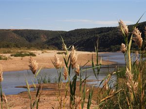 465 ha Farm in Herbertsdale