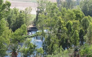 542 ha Farm in Swellendam