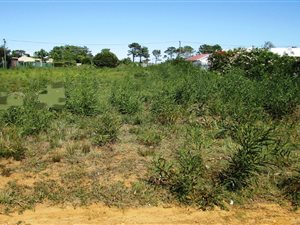 1487 m² Land available in Fisherhaven