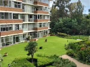 1 Bed Apartment in Parkwood