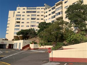 1 Bed Apartment in Sarnia