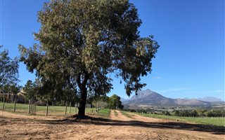 22 ha Farm in Paarl