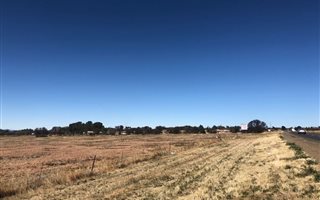 4.3 ha Land available in Deales Gift