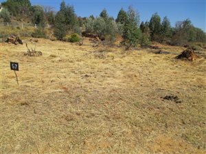 1191 m² Land available in Kameeldrift East
